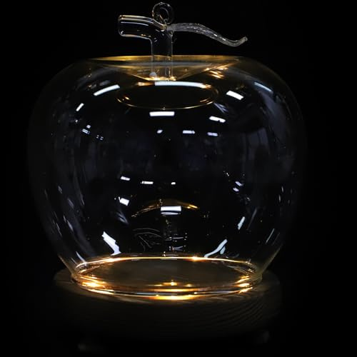 ifundom Lot de 2 Cloches en Verre Décoratives Transparentes avec Socle en Bois Vintage, Dômes Anti-poussière pour Figurines et Objets de Collection, Éclairage LED Intégré, Vitrine