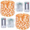 SUNNOW 2 Pezzi Stringa Luci LED - 10M/33FT Catene Luminose 100LED Luci Natalizie Batteria Impermeabile IP65, Esterno/Interni Lucine Decorative per Balcone Giardino Feste Natale (Bianco Freddo)