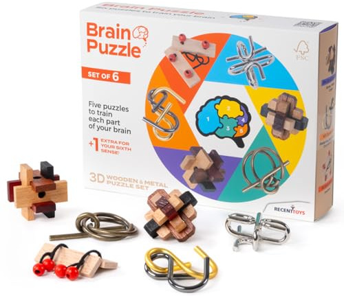 Recent Toys Brainpuzzle Set von 6