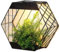 DIVAS SPIRITUAL Macetero hexagonal de pared, luz solar para jardín al aire libre, iluminación decorativa
