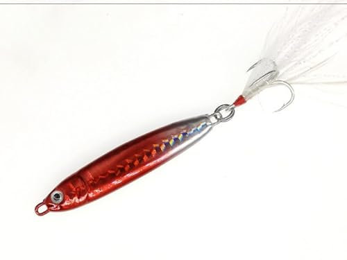 10/15/20/30g Dur Filature appât Plume métal Jigger pêche leurre Basse Crochet coloré manivelle gabarits Long Naufrage (Color : 6, Size : 30g)