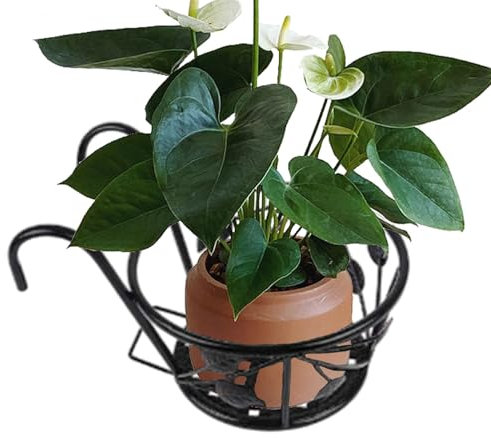 zwxqe Soporte para plantas de barandilla, colgador de barandilla de cubierta de hierro y potos, soporte para macetas para el hogar, soporte de flores de 22 cm, decoración de balcón, jardín y valla