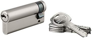 THIRARD - Demi-cylindre de serrure Trafic 6, 60x10mm, nickel, anti-arrachement, anti-perçage, 5 clés