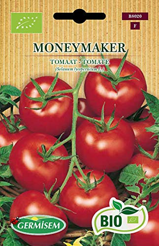 Bio Tomatensamen MONEYMAKER