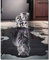 Fuumuui Peinture par Numéros Adultes et Enfants Débutants avec Pinceaux et Peintures Acryliques 40 x 50 cm - Animaux, Chat et Tigre