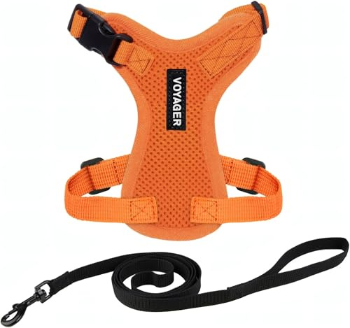 Best Pet Supplies Step-in Lock Harness, Orange, XXS | Escape-proof mesh harness, reflective leash, neoprene handle, fits small to medium cats