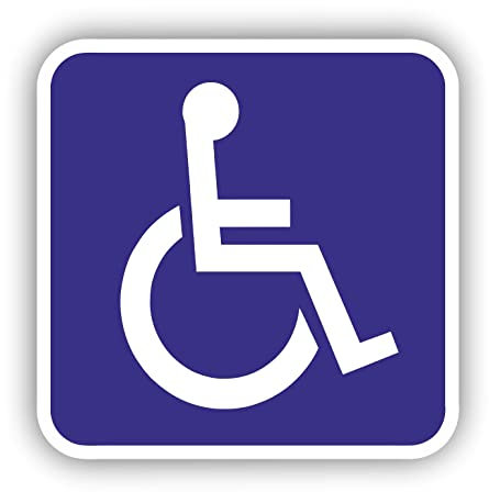 AMA SHOP Adesivo Sgomato Disabili invalidi per interno vetro di auto camper