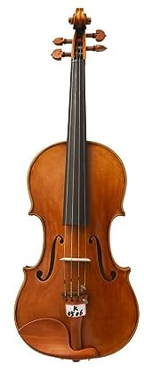 Anfänger Geige Violine 4/4 Handgefertigt Mit Pernambukbogen Und Schaumstoffkoffer