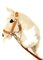 Steckenpferd A4 (Pferd auf einem Stock) Hobby Horse A4 komplett mit Kantar wie auf dem Foto (krem)