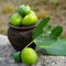 Acquista semi di fico - bonsai di fico semi alberi, piante per luoghi soleggiati fichi biologici ciliegio nano alberi da frutto colonnari frutto sapote, piante resistenti in vaso 250pcs
