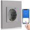 BSEED WLAN Smart Steckdose 16A mit Strommessung,1 Fach Intelligente Steckdose mit Verbrauchsmessung und Energiekosten-Messer,arbeitet mit Amazon Alexa,Google Home,Timerfunktion Grau