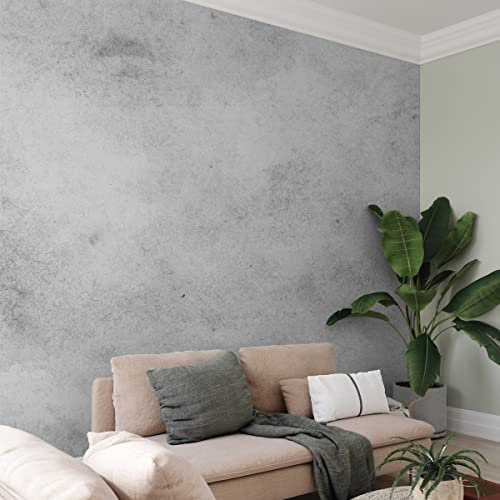 Muralo Selbstklebende FOTOTAPETE 312x219 TAPETE Wandtapeten Graues Ombre Betonimitat-Dekor Wohnzimmer Schlafzimmer Moderne Wandbilder XXL Wand Dekoration Abstrakt Luxus Br.312xHö.219