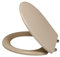 ROSSIGNOL Abattant WC, Cuvette Toilette avec Double Frein de Chute, Lunette WC, Traitement antibactérien, Haute qualité et inrayable, Glossy
