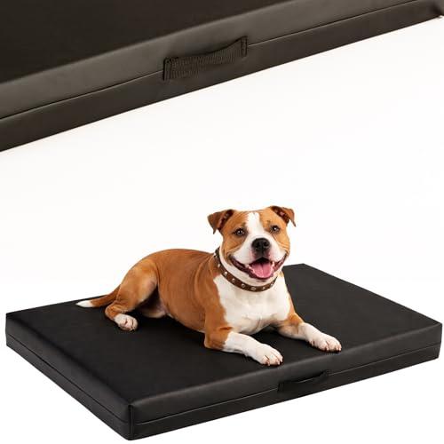 COOL PET Orthopädische Hundematratze, 100 × 67 × 10 cm – VISCO-Schaumstoff (Memory-Schaum), strapazierfähiger Bezug aus hochwertigem Kunstleder mit wasserabweisendem PVC-Anstrich, Made in EU, schwarz