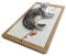 CanadianCat Company | Katzen Kratzbrett - Planky XXL - Kratzteppich Katze | interaktives Katzenspielzeug aus robustem Holz | ca. 70 x 35 cm Kratzfläche | Gesamtgröße ca. 80 x 40 x 2 cm