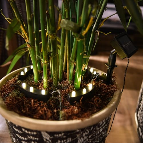 LED Solar Blumentopf Beleuchtung, 5er Set, warm weiß