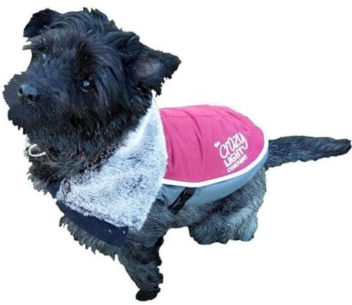 Rosewood 68035.0 Wasserabweisender Hundemantel mit Blinklicht, extra warmen Fleecefutter und Webpelzkragen, Rückenlänge: 38 cm, grau/Bordeaux