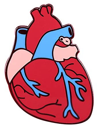 HCMA Broche Anatomique d'organe de Corps d'épingle de Coeur Insigne de Goth Bizarre Bijoux médicaux médecins infirmières cardiologues Cadeau