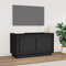 Homvdxl Small TV Stand, 80cm Modern TV Unit Cabinet for 30 or Smaller TVs, Under TV Storage Table with 2 Doors for Living Room Home Furniture (Black)