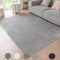 Ceneco Teppich Wohnzimmer, Kurzflor Teppich Schlafzimmer, Indoor Teppiche Kurzflor, Weiche Grau Teppiche für Esszimmer, Waschbarer Tepich für Küche,Dünner Teppisch für Lounge (Grau, 60×90cm)