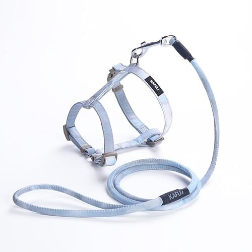 Katzengeschirr mit Leine Set, Katzenleine Ausbruchsicher, Verstellbare Geschirre Katzenleine, Katzenweste Sicher und Bequem für Katzen Kätzchen Welpen (Blau)