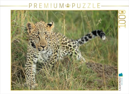 CALVENDO Puzzle Leoparden – Kleiner unterwegs | 1000 Teile Lege-Größe 64 x 48 cm Foto-Puzzle für glückliche Stunden