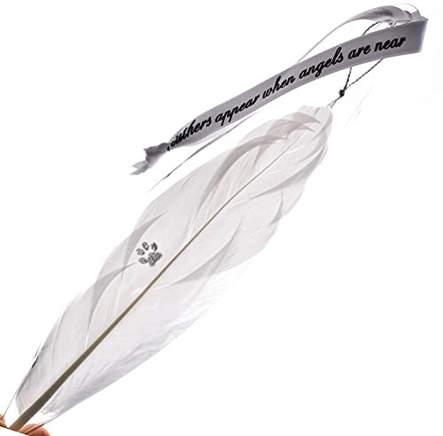 Paw Print Feather Memorial Bauble for Pet Cat Dog Glass Teardrop Christmas Tree Decoration. Hanging Memory Keepsake