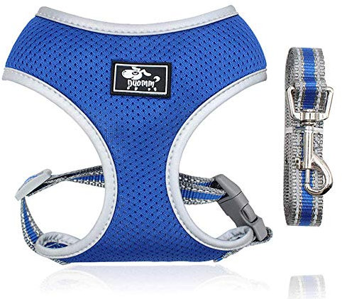 Dociote Hundegeschirr Set mit Leine - Brustgeschirr Welpengeschirr Set mit Leine & Reflektorstreifen verstellbares Geschirr für Welpen kleine Hunde Katzen Blau S