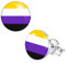 Nanafast Kleine Huggie-Ohrringe aus Edelstahl, Regenbogenfarben, LGBT-Pride-Ohrringe für Damen und Herren, Lesben, Bisexuell, Transgender, nicht-binäre asexuelle Flagge, Ohrringe, LGBTQ-Pride-Schmuck