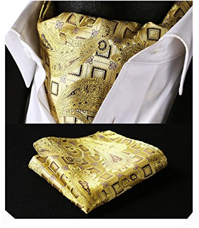 HISDERN Krawattenschal Herren Gelb Hochzeit Punkt Halstuch Taschentuch Paisley Business Ascot Krawatte und Einstecktuch Set