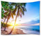 A.Monamour Wanddekor Wandbild Vorhang Wandteppiche Karibik Tropischen Sand Strand Sonnenuntergang Palme Blauen Himmel Natur Landschaft Bild Drucken Stoff Wand Wandbehänge Kunst Dekore 180x230cm