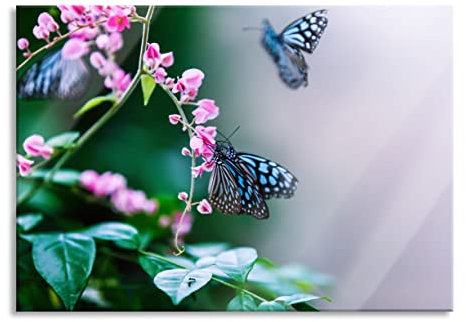 Pixxprint Glasbild, Wandbild aus Echtglas, Schmetterlinge auf rosa Blumen, 80x60 cm, inkl. Aufhängung und Abstandshalter