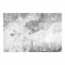Bilderwelten Fototapete Modern 320cm x 480cm Beton-Optik Grau Steintapete Betontapete Vliestapete Tapete Wanddeko Ideen Wohnzimmer Schlafzimmer Küche