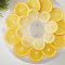 MisterChef Individual tray for 'Food Dehydrator' replacement and additional trays, 1 tray