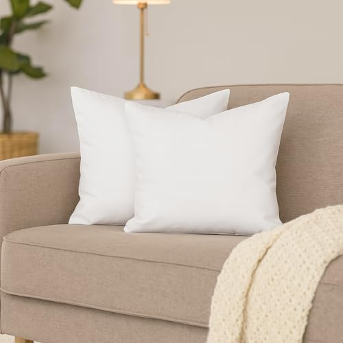 Hans-Textil-Shop 2er Set Kissenbezüge, 100% Baumwolle, Reißverschluss - Kopfkissen, Dekokissen, Couchkissen, Sofakissen (30x60 cm, Weiß)