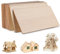 DBREAKS 20 Stück Sperrholzplatte 3MM, Holzplatten zum Basteln und Bemalen, Balsaholz Platten, Bastelholzplatte Sperrholz Platten, Holzplatte für DIY Modellbau Handwerk,20x10cm
