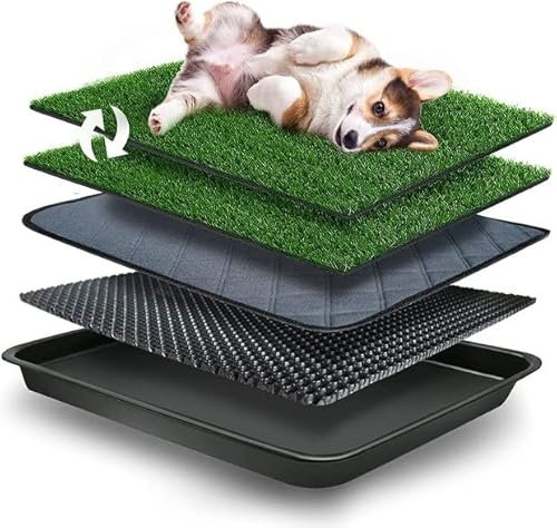 GoldOuya 50 x 60 cm - Gazon artificiel - Toilettes pour petits chiens - Toilettes pour animaux de compagnie - Tapis d'entraînement réutilisable pour animaux de compagnie - Pour petits chiens et grands