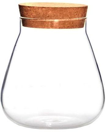 Pot de Rangement en Verre Borosilicate Bouchon en Bois Marron | Bocal Décoratif Transparent, Objet D’accent Multifonction pour Bonbons et Pièces, Idée Présent ou Escalier