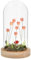 Shudehill Giftware Flower Dell Meadow LED Long Dome Decoraive Mood Light - Pink, Lilac or Yellow Tulips with Wooden Base (Pink)