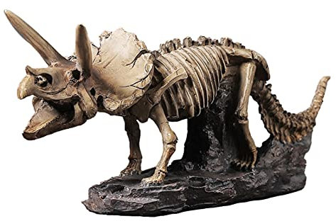 ACAREY Triceratops Knochen Harz Ornament Skulptur Nachbildung 34cm Dinosaurier Geschenk Für Sammler Und Wissenschaftsbegeisterte