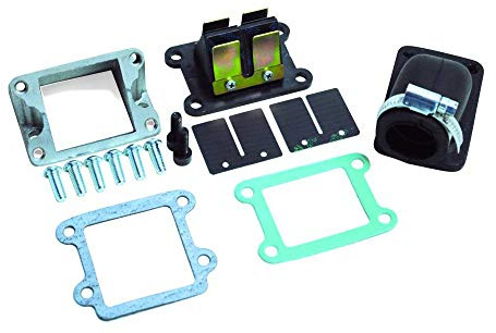 POLINI 215.0410 - Scatola a valvola Scoot Carbonio per MBK 50 Booster, Stunt-Yamaha 50 bws, Slider (215.0410)