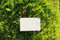 Cartel personalizado para boda/cartel de madera/cartel para boda/cartel/boda/paje /