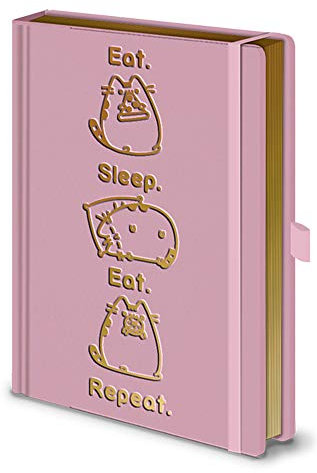 empireposter Pusheen - Eat, Sleep, Repeat - offizielles Lizenz Notizbuch A5, Spiralbindung, Buch liniert, Ringbuch, Book
