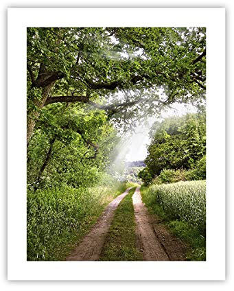 ARTTOR Affiche Decoration Murale Moderne Poster sans Cadre 40x50cm Chemin nature forêt vert Deco Affiches Murales Wall Art Design Tableau Decoration Salon Chambre Cuisine Decor P2XPA40x50-2637