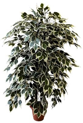 MY E GARDEN - FIORI E PIANTE ARTIFICIALI Pianta Artificiale per Interno o Esterno, Pianta Ficus Benjamin Artificiale Decorativa, Pianta Finta Soggiorno Camera Cucina Salotto Ufficio