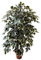 MY E GARDEN - FIORI E PIANTE ARTIFICIALI Pianta Artificiale per Interno o Esterno, Pianta Ficus Benjamin Artificiale Decorativa, Pianta Finta Soggiorno Camera Cucina Salotto Ufficio
