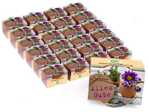 Bull & Bear 25er Set Mini Pflanzset 'Alles Gute' Ringelblume Marigold Blumen Samen, 25 Tontöpfchen mit Blumensamen und Pflanzsubstrat