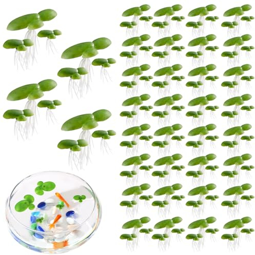 Alovez Lot de 36 lentilles d'eau artificielles pour étang, plantes d'aquarium, plantes aquatiques artificielles décoratives pour mini étang, bassin à poissons, aquarium