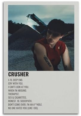 klouds Jeremy Zucker Album Crusher Poster, dekoratives Gemälde, Leinwand, Schlafzimmer, Kunst, Wohnzimmer-Dekor, modernes ästhetisches Poster, 60 x 90 cm, ungerahmter Stil