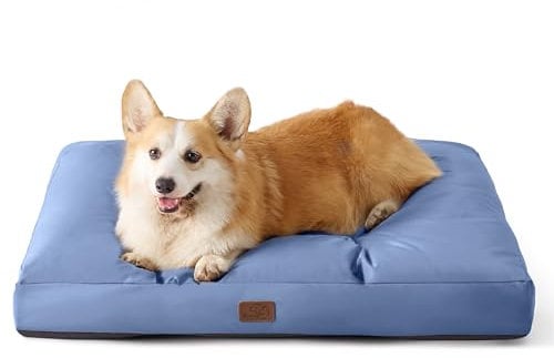 BEDSURE Hundekissen kleine Hunde waschbar - 76x50cm Hundebett wasserdicht M für kleine, mittelgroße Hunde gepolstert Hundematte Blau Gewaschen in 10cm Höhe